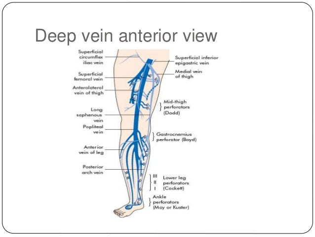 Dvt Icd 10 Lower Extremity Icd 10 Code For Lower Extremity Swelling