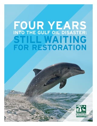 NATIONAL WILDLIFE FEDERATION
FOUR YEARSINTO THE GULF OIL DISASTER:
STILL WAITING
FOR RESTORATION
 