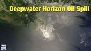 Deepwater Horizon Oil Spill
 