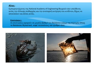 Αίτια :
Εμπειρογνώμονες της National Academy of Engineering θεωρούν σαν υπεύθυνες
αιτίες την έλλειψη πειθαρχίας και την ανεπαρκή εκτίμηση του κινδύνου, δίχως να
αποκλείουν και άλλες αιτίες.
Επιπτώσεις :
Οι επιπτώσεις αφορούν σε μεγάλο βαθμό τον θαλάσσιο κόσμο της περιοχής όπως
τα θαλάσσια θηλαστικά, καφέ πελεκάνους και ερυθρό τόνο.
 