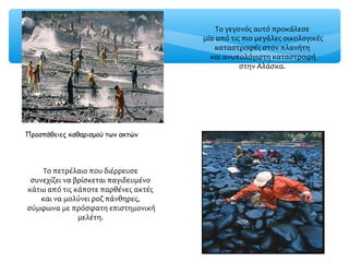 Το γεγονός αυτό προκάλεσε
μία από τις πιο μεγάλες οικολογικές
καταστροφές στον πλανήτη
και ανυπολόγιστη καταστροφή
στην Αλάσκα.
Προσπάθειες καθαρισμού των ακτών
Το πετρέλαιο που διέρρευσε
συνεχίζει να βρίσκεται παγιδευμένο
κάτω από τις κάποτε παρθένες ακτές
και να μολύνει ροζ πάνθηρες,
σύμφωνα με πρόσφατη επιστημονική
μελέτη.
 