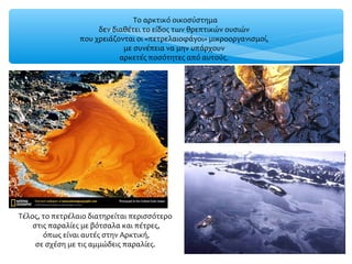 Τέλος, το πετρέλαιο διατηρείται περισσότερο
στις παραλίες με βότσαλα και πέτρες,
όπως είναι αυτές στην Αρκτική,
σε σχέση με τις αμμώδεις παραλίες.
Το αρκτικό οικοσύστημα
δεν διαθέτει το είδος των θρεπτικών ουσιών
που χρειάζονται οι «πετρελαιοφάγοι» μικροοργανισμοί,
με συνέπεια να μην υπάρχουν
αρκετές ποσότητες από αυτούς.
 