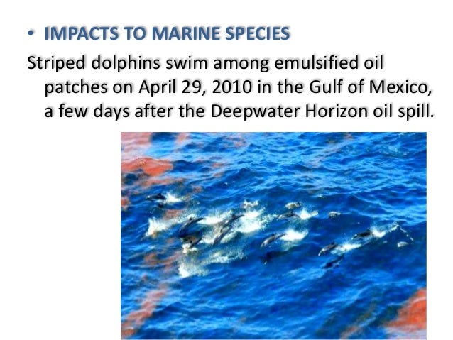 Deep Water Horizon Oil Spill Deep Water Horizon Oil Spill