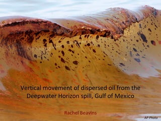 Vertical movement of dispersed oil from the
Deepwater Horizon spill, Gulf of Mexico
Rachel Beavins
AP Photo
 