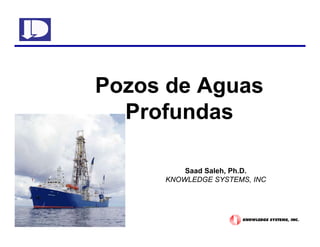 Pozos de Aguas
Profundas
Saad Saleh, Ph.D.
KNOWLEDGE SYSTEMS, INC
 