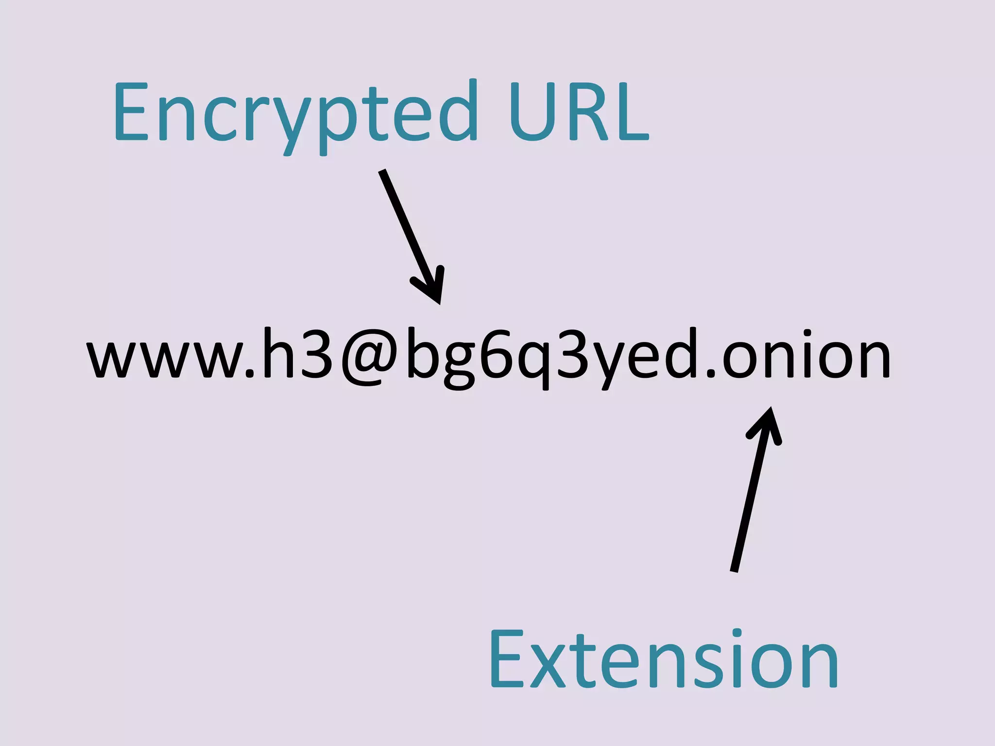 www.h3@bg6q3yed.onion
Encrypted URL
Extension