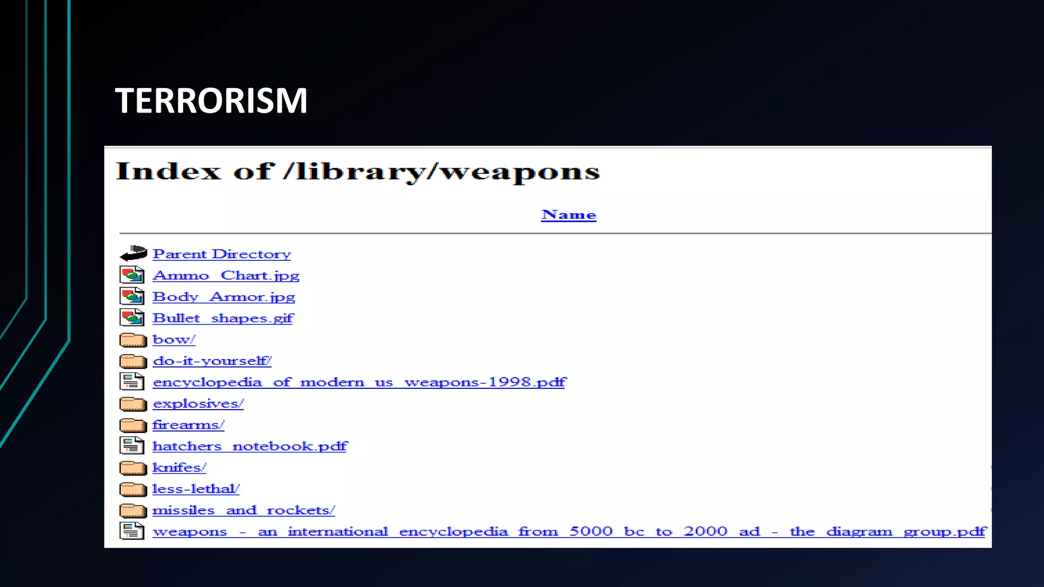 TERRORISM
 