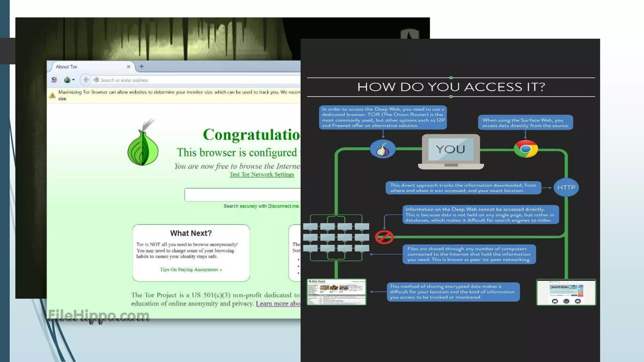 Accessing the Deep Web
 