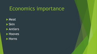 Economics importance
 Meat
 Skin
 Antlers
 Hooves
 Horns
 