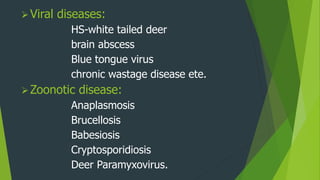 Viral diseases:
HS-white tailed deer
brain abscess
Blue tongue virus
chronic wastage disease ete.
Zoonotic disease:
Anaplasmosis
Brucellosis
Babesiosis
Cryptosporidiosis
Deer Paramyxovirus.
 