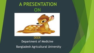 A PRESENTATION
ON
DEER
Department of Medicine
Bangladesh Agricultural University
 