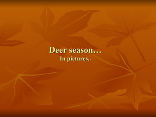 Deer season… In pictures.. 