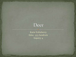 Katie Eckleberry Educ. 373 Sandrick Inquiry 4 Deer  