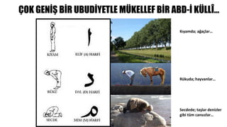 ÇOK GENİŞ BİR UBUDİYETLE MÜKELLEF BİR ABD-İ KÜLLÎ…
Kıyamda; ağaçlar…
Rükuda; hayvanlar…
Secdede; taşlar denizler
gibi tüm cansızlar…
 