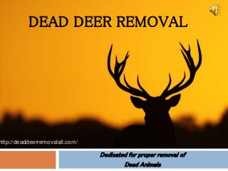 DEAD DEER REMOVAL
Dedicated for proper removal of
Dead Animals
http://deaddeerremovalatl.com/
 