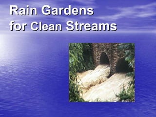 Rain Gardens
for Clean Streams
 