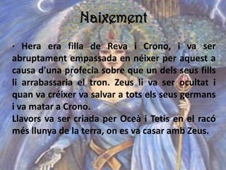 Naixement
· Hera era filla de Reva i Crono, i va ser
abruptament empassada en néixer per aquest a
causa d'una profecia sobre que un dels seus fills
li arrabassaria el tron. Zeus li va ser ocultat i
quan va créixer va salvar a tots els seus germans
i va matar a Crono.
Llavors va ser criada per Oceà i Tetis en el racó
més llunya de la terra, on es va casar amb Zeus.
 