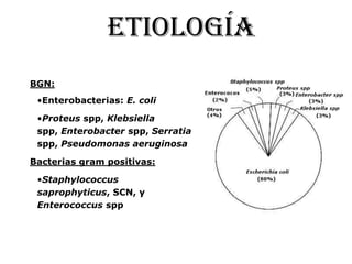 BGN:
•Enterobacterias: E. coli
•Proteus spp, Klebsiella
spp, Enterobacter spp, Serratia
spp, Pseudomonas aeruginosa
Bacterias gram positivas:
•Staphylococcus
saprophyticus, SCN, y
Enterococcus spp
EtioLOGÍA
 