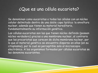 ¿Que es una célula eucariota?

Se denominan como eucariotas a todas las células con un núcleo
celular delimitado dentro de una doble capa lipídica: la envoltura
nuclear, además que tienen su material hereditario,
fundamentalmente su información genética.
Las células eucariotas son las que tienen núcleo definido (poseen
núcleo verdadero) gracias a una membrana nuclear, al contrario
que las procariotas que carecen de dicha membrana nuclear, por
lo que el material genético se encuentra disperso en ellas (en su
citoplasma), por lo cual es perceptible solo al microscopio
electrónico. A los organismos formados por células eucariotas se
les denomina eucariontes.
 