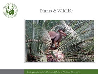 Plants & Wildlife 