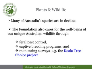 Plants & Wildlife Many of Australia’s species are in decline.  The Foundation also cares for the well-being of our unique Australian wildlife through feral pest control, captive breeding programs, and  monitoring surveys  e.g. the  Koala Tree  Choice project 