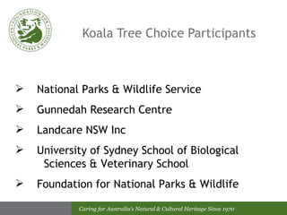 Koala Tree Choice Participants National Parks & Wildlife Service Gunnedah Research Centre Landcare NSW Inc University of Sydney School of Biological  Sciences & Veterinary School Foundation for National Parks & Wildlife 