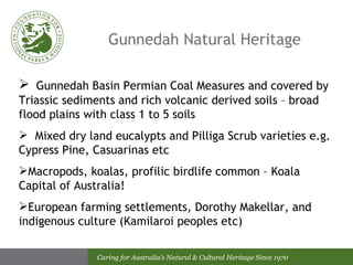 Gunnedah Natural Heritage Gunnedah Basin Permian Coal Measures and covered by Triassic sediments and rich volcanic derived soils – broad flood plains with class 1 to 5 soils Mixed dry land eucalypts and Pilliga Scrub varieties e.g. Cypress Pine, Casuarinas etc Macropods, koalas, profilic birdlife common – Koala Capital of Australia! European farming settlements, Dorothy Makellar, and indigenous culture (Kamilaroi peoples etc) 