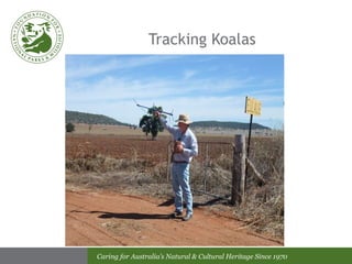 Tracking Koalas 