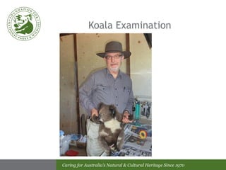 Koala Examination 