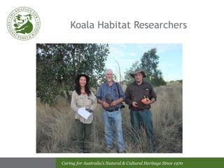 Koala Habitat Researchers 