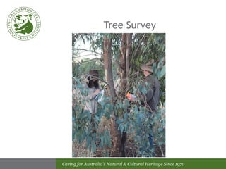 Tree Survey 