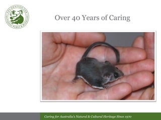 Over 40 Years of Caring 