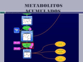 METABOLITOS
                                        ACUMULADOS
http://pathman.smpdb.ca/pathways/SMP00040/pathway
 