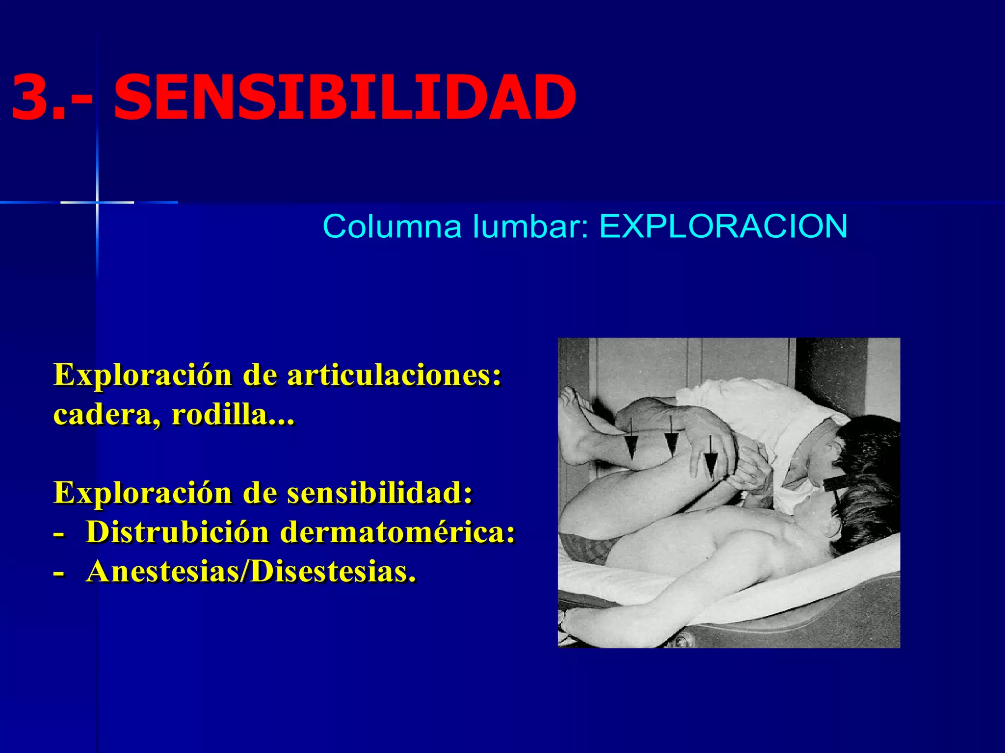 3.- SENSIBILIDAD 