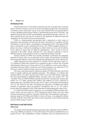 98 Ringel et al.
INTRODUCTION
Altered expression of cell-surface molecules and the overexpression of growth
factors and their receptors may be involved in malignant progression and metastasis
of human exocrine pancreatic cancer. It has been reported that such growth factors
as basic fibroblast growth factor (bFGF), transforming growth factor (TGF)-β1, and
epidermal growth factor (EGF) are abundantly expressed in pancreatic cancer [1– 3].
These growth factors may also be involved in the regulation of adhesion molecules
supposed to be involved in invasion and metastasis.
CD44 is a transmembrane glycoprotein that is implicated in wide variety of
functional roles including cell-cell and cell-matrix interactions. It mediates cell dif-
ferentiation, T-cell activation, cell migration, and metastasis [4,5]. The human CD44
gene is encoded by a gene containing 20 exons. The CD44st standard molecule ex-
presses ten exons, whereas the remaining so-called variant (v) exons can be alterna-
tively spliced in more than 30 different combinations. These variant exons are
expressed in the CD44 variant isoforms [4,5]. The alternative splicing as well as
different degrees of glycosylation result in a multitude of protein isoforms.
Variant isoforms of CD44 were recently described to determine the metastatic
potential of cancer cells. In a rat pancreatic cancer model, the transfection of CD44v6
led to metastatic behavior of the non-metastatic parental pancreatic cancer cell line [6].
CD44 expression has been analyzed in a broad of tissue and cancer types [7–
12]. Different CD44variant isoforms are considered to play a critical role in growth
and metastatic behavior of various tumors [13]. In addition, in some cancer types, a
correlation between CD44v expression and clinical prognosis was observed [7,12].
However, results in different cancer types are controversial [13,14].
The tissue- and cancer-specific expression pattern of CD44 molecules may be the
result of specific splicing and regulation processes. The influence of cytokines like
interferon (IFN) γ or tumor necrosis factor (TNF) α on the CD44 surface expression
has been demonstrated in epithelial kidney and lung cancer cell systems [15]. The
“standard“ form of CD44 [CD44st) has been found to be overexpressed in pancreatic
tumors (16, 17). Other reported that CD44v5 and CD44v6 are newly expressed in
human pancreatic carcinoma and may play role in tumor cell invasion and metastasis
(18, 19, 20). However, the data concerning the expression of CD44st and CD44v
isoforms in pancreatic cancer are somehow contradictory (20, 21, 22, 23). Little is
known about the regulation of the CD44 expression in human pancreatic cancer cells.
To clarify the CD44 protein expression, we investigated different human pan-
creatic cancer cell lines and two SV40 transfected human ductal cell lines using
immunocytochemistry and flow cytometry. Besides the semi-quantitative protein ex-
pression analysis of CD44st and CD44v in these cell lines, we evaluated the effects
of bFGF, TGF-β1, EGF, IFNγ, and TNFα on the expression of the CD44st molecule
and the CD44 variant v5 and v6.
MATERIALS AND METHODS
Cell Lines
Two human SV40 transfected human pancreatic duct epithelial cell lines (PDEC)
were used: M540 (provided by F. Real, Barcelona) [24] and E4 (established by our
group) [25,26]. The establishment, culture conditions, and cell characterization of
 