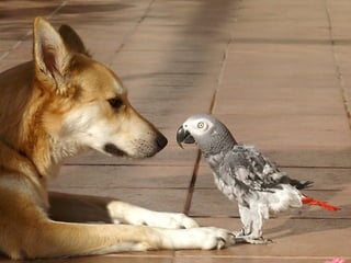 Multiple kinds of
                   “content”
•   Core destination that you own
    •   That continiously delivers value
    •   Where you can fully control the experience
•   Social media channels
    •   To generate interest, attention, activity
•   Real life events
    •   That need to support your on-line efforts, and vice versa
 