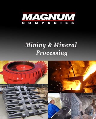 Mining& Mineral
Processing
 