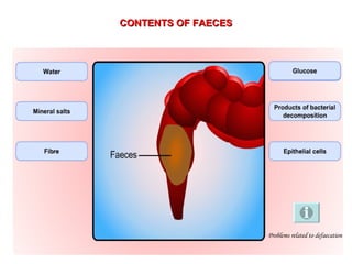 CONTENTS OF FAECES Problems related to defaecation 