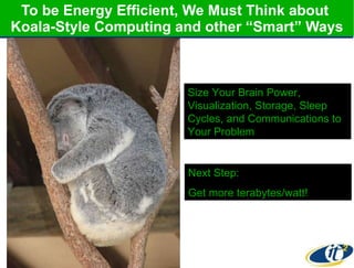To be Energy Efficient, We Must Think about  Koala-Style Computing and other “Smart” Ways Size Your Brain Power, Visualization, Storage, Sleep Cycles, and Communications to Your Problem Next Step:  Get more terabytes/watt! 