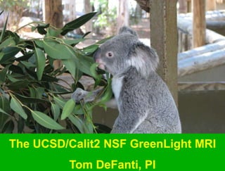 The UCSD/Calit2 NSF GreenLight MRI Tom DeFanti, PI 