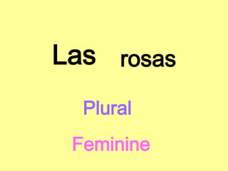 Def articles & gender & singular plural practice | PPTX