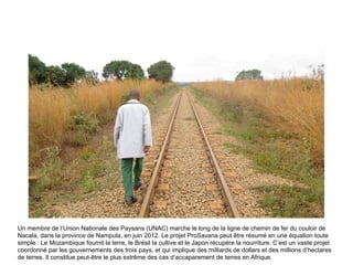Un membre de l’Union Nationale des Paysans (UNAC) marche le long de la ligne de chemin de fer du couloir de
Nacala, dans l...
