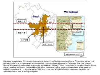 Mapas de la Agencia de Cooperación Internacional de Japón (JICA) que muestran cómo el Corredor de Nacala y el
cerrado bras...