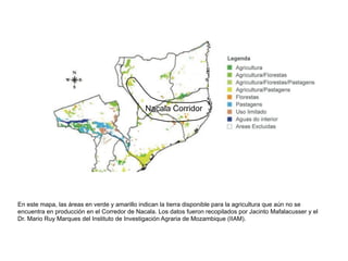 Nacala Corridor




En este mapa, las áreas en verde y amarillo indican la tierra disponible para la agricultura que aún n...
