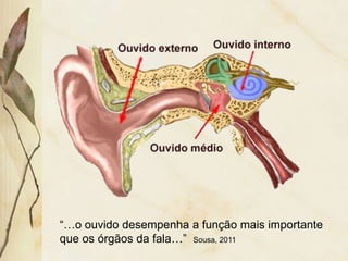 “…o ouvido desempenha a função mais importante
que os órgãos da fala…” Sousa, 2011
 