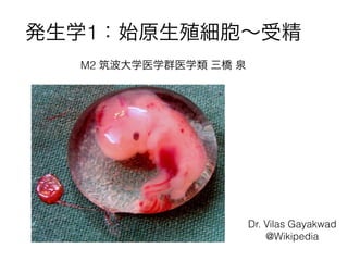 発生学1：始原生殖細胞∼受精

Dr. Vilas Gayakwad
@Wikipedia
 