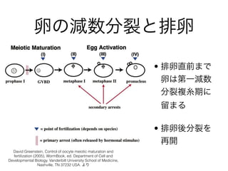 ѤΜpѤ

David Greenstein, Control of oocyte meiotic maturation and
fertilization (2005), WormBook, ed. Department of Cell and
Developmental Biology, Vanderbilt University School of Medicine,
Nashville, TN 37232 USA. 
? ֱǰޤ
Ѥϵһp
}ڤ
ޤ
? Ѥ
_
 
