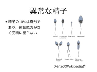 ʾ
? Ӥ10%Τ
ꡢ\
ܾʤ
Xenzo@Wikipedia
 