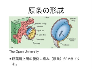 ԭγ
? ~όӤθȤ˸DߣԭǤƤ
롣
The Open University
 
