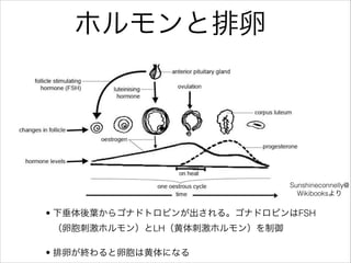 Sunshineconnelly@
Wikibooks
? ´~饴ʥɥȥԥ󤬳롣ʥɥԥFSH
Ѱ̼ۥ󣩤LH̼ۥ󣩤
? ѤKѰϻˤʤ
ۥ
 